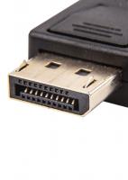 VCOM DisplayPort (m) - DVI-I (f)_2