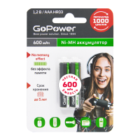 Аккумулятор бытовой GoPower HR03 AAA (00-00015315)_0