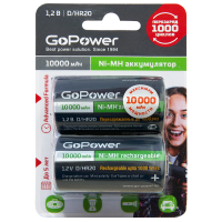 Аккумулятор бытовой GoPower HR20 D (00-00018323)_2